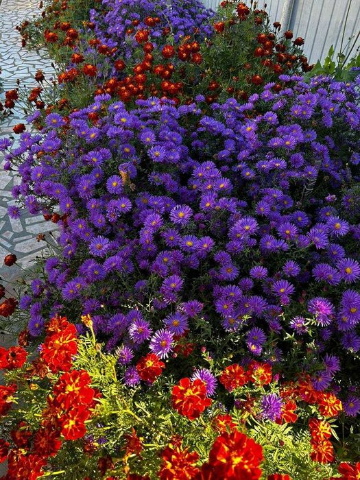 Продается 4 комнатный дом во 2 Костанае