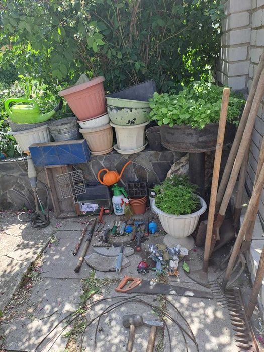 Комнатные и огородные растения