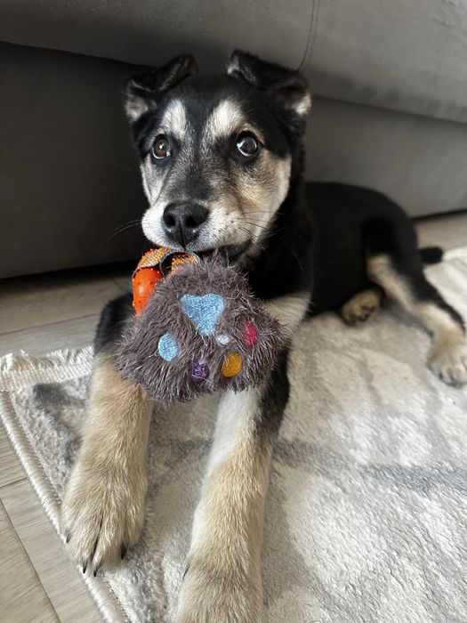 Малышка ищет любящую семью