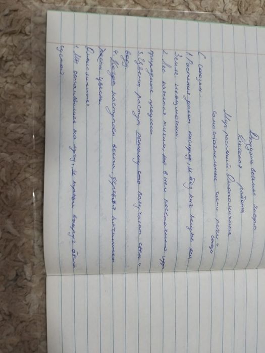 Боксерские и ММАшные перчатки