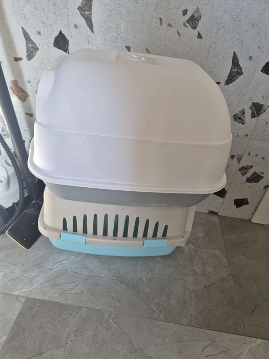 Кошка отдам даром