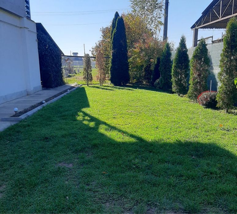 Apartament 3 cam + 10 ari teren ( curte+ livadă)