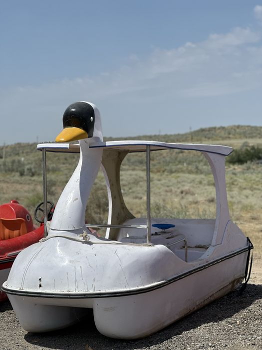 Катамаран новый