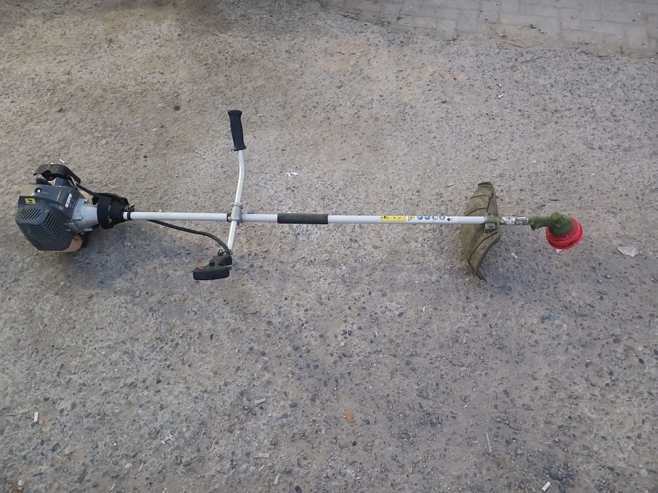 Аренда кенгурув тронбопка