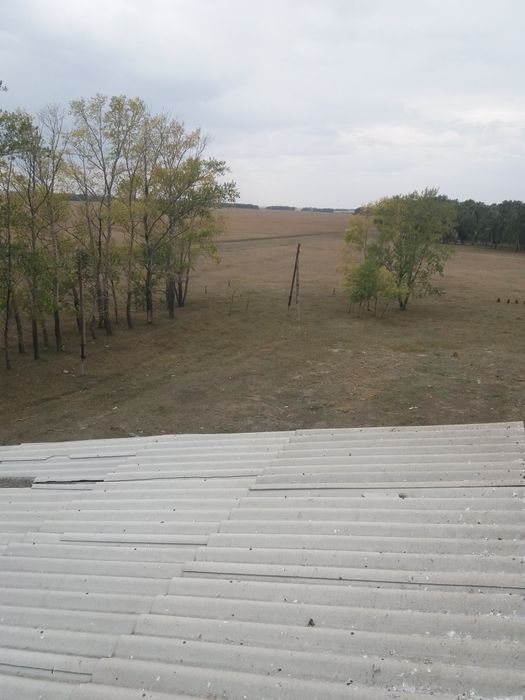 Фазенда. Продам фазенду