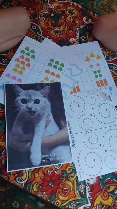 Репетитор Почемучка для детей 1,5 час 3 раза в неделья