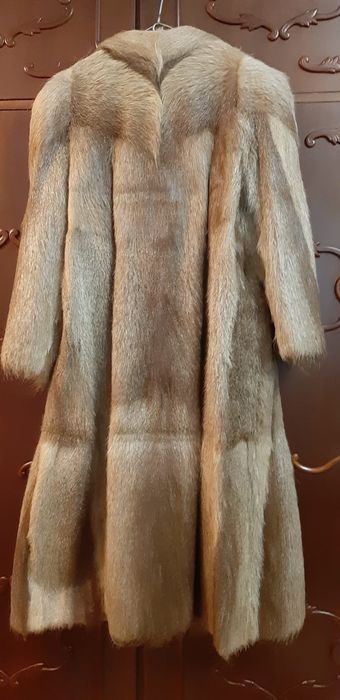 Haina de blana nutrie