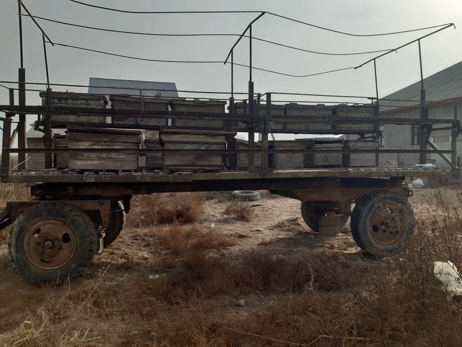 Пчелоприцеп на 36 ульев