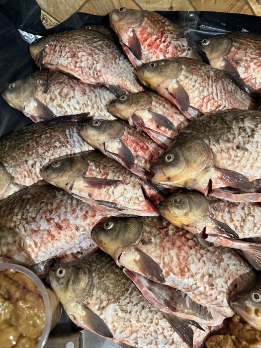 Карась с чисткой без чистки