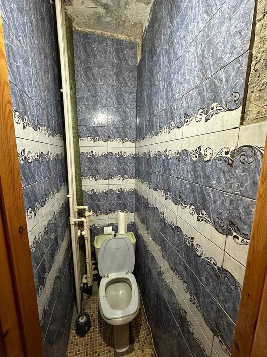 Кара камыш  2.4   3/2/4   средний