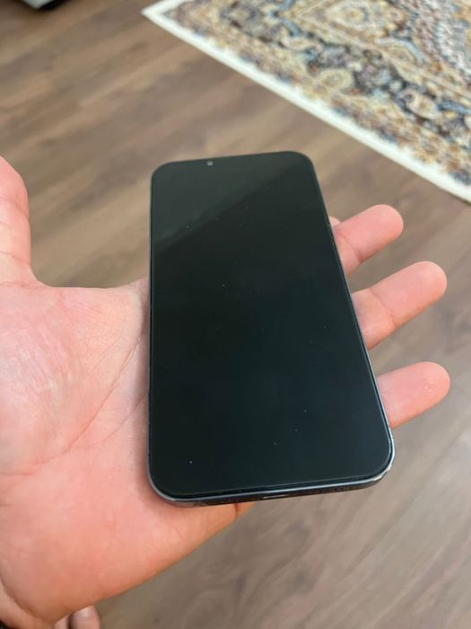 IPhone 13 Pro Max (512 gb)