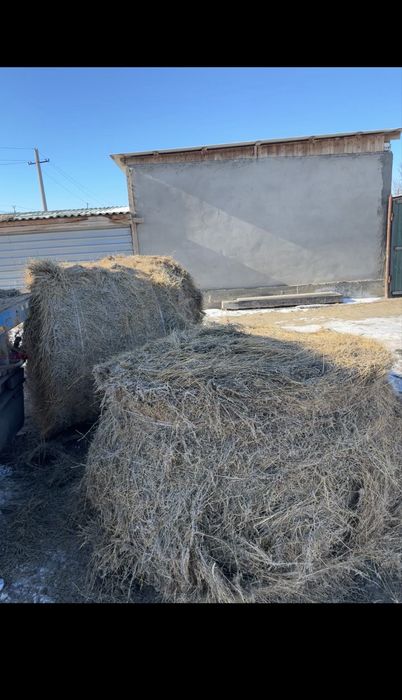 Рулон Шоп (Шөп)