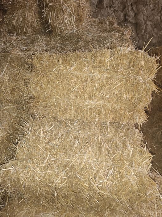 Somon pres sotiladi (boʻkada)