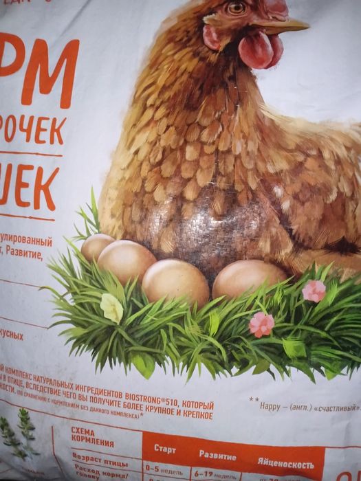 Корм для кур Пурина