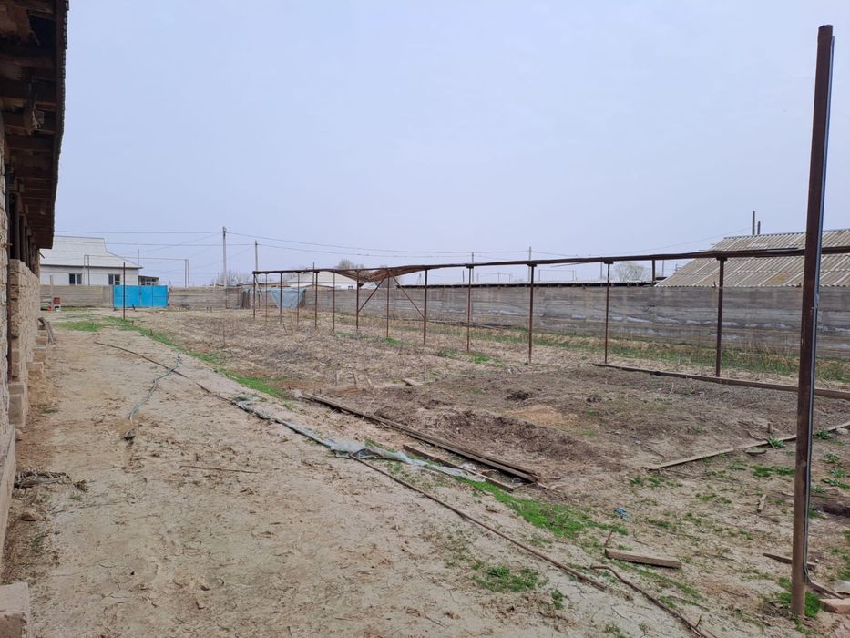 Фазенда в городе Жетысай