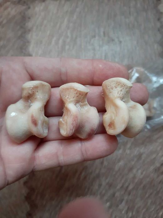 Талисман Амулет Оберег асык волка.