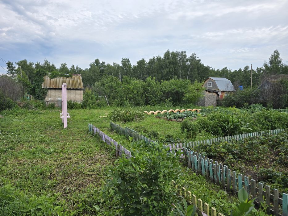 Продам дачу в районе Новопавловки