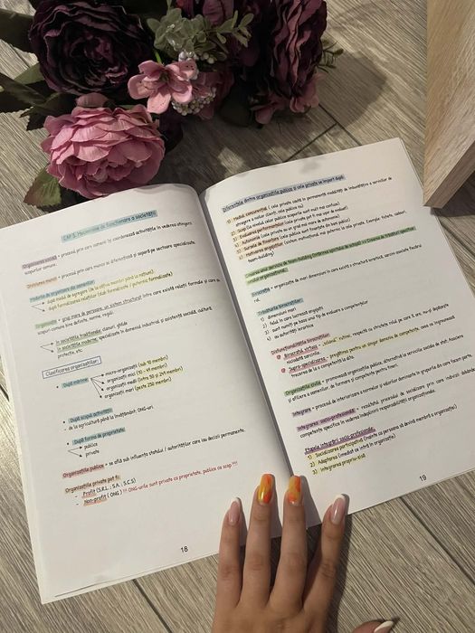 Sociologie Bacalaureat