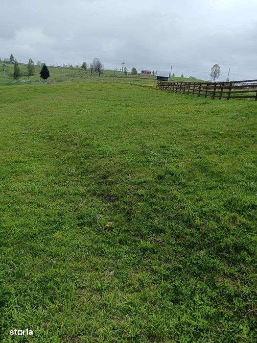 Teren 6000mp Măguri-Răcătău, pârâu, utilități. Schimb Florești