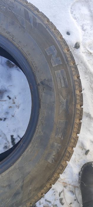 Зимние покрышки шипованные NEXEN