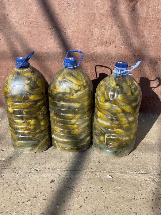 Огурцы соленые .