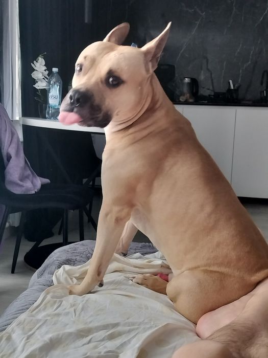 Кабель для вязки