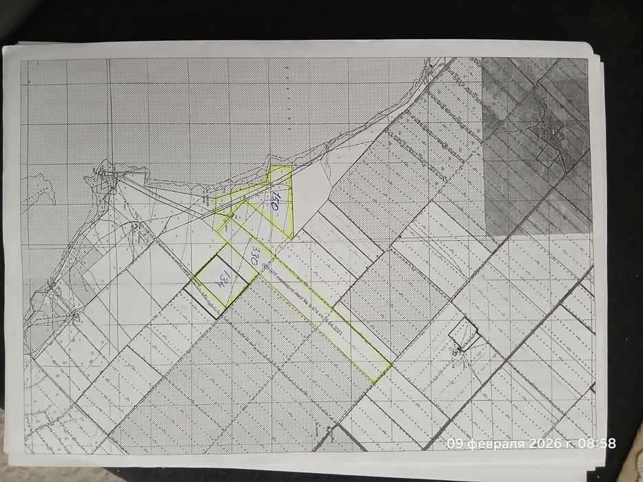 Продам фазенду со скотом