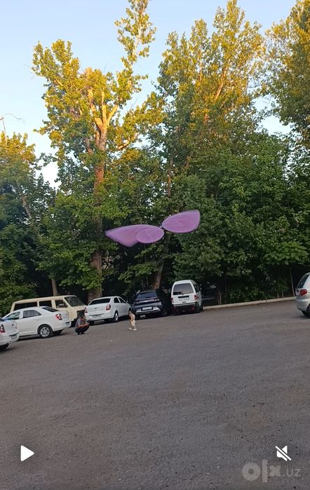 Dron kapalak xizmati