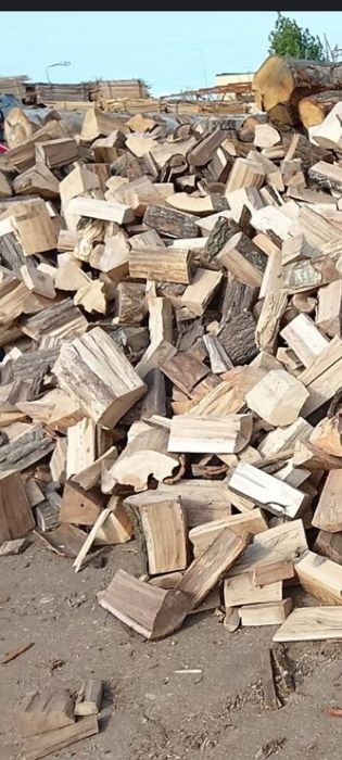 Lemne și deșeuri pentru foc