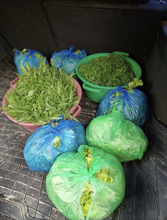 Продам заводскую теплицу