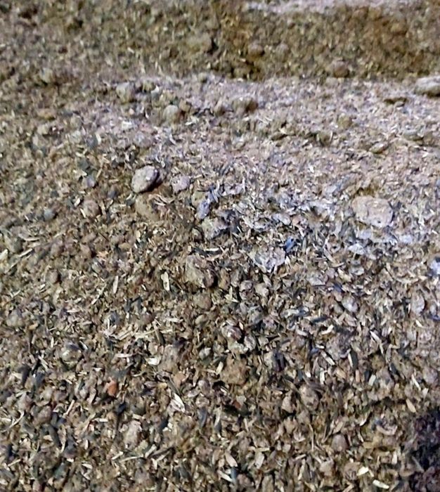 Srot floarea soarelui proteina 36,7 %