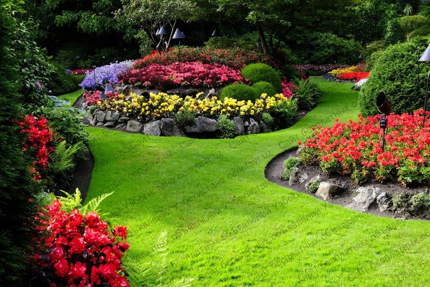 •Ландшафтный дизайн• Садовник опытный Тажрибалик Богбон хизмати.