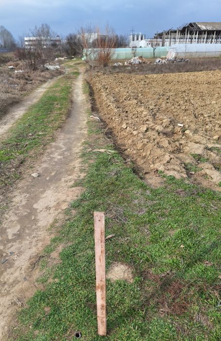Teren intravilan de vânzare, zona Copăceni Ilfov.