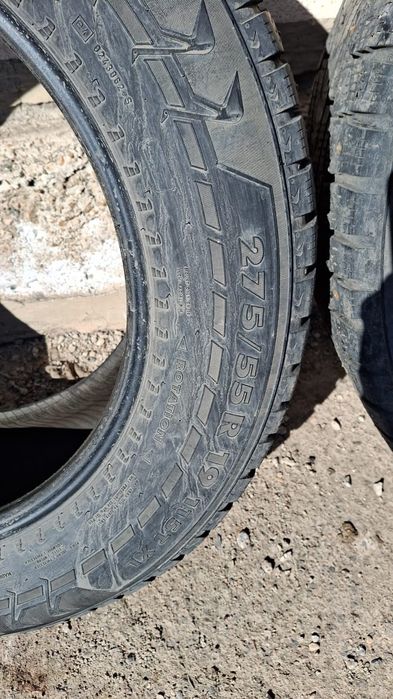 Шины шипованные 19 размер