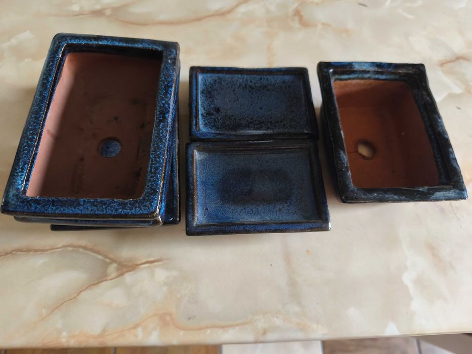 Giveciuri pentru bonsai