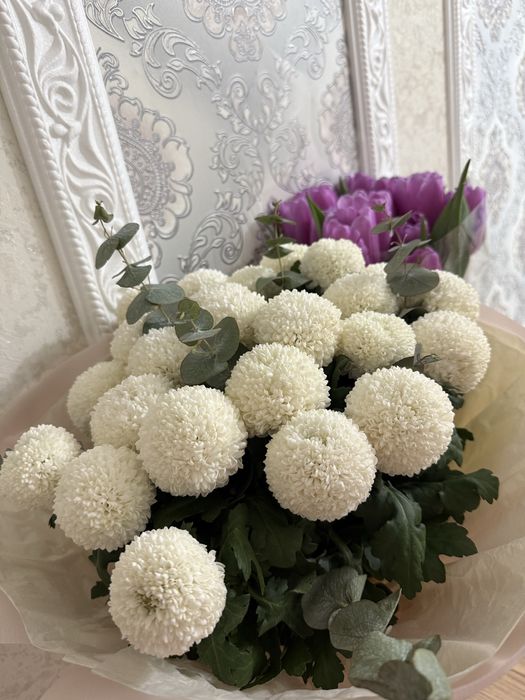 Цветы момоко б/уу