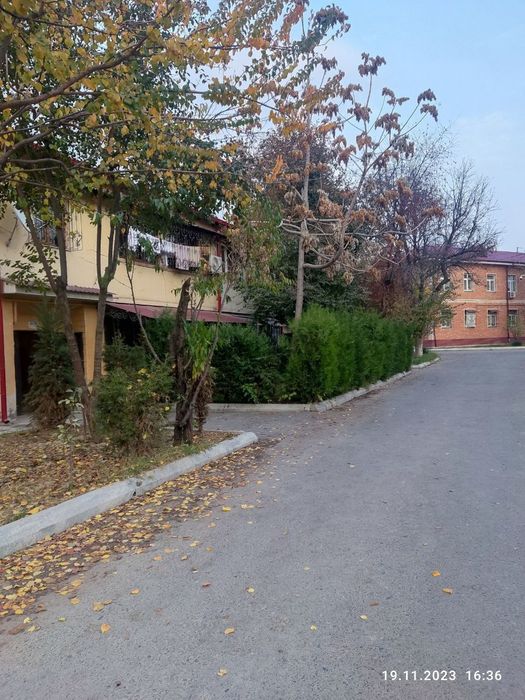 Arzon kvartira yigitlarga