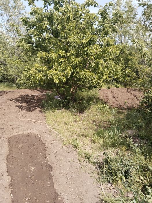 Продаеться дача 8 соток