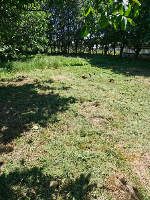 Teren intravilan 15 euro/mp Cuza Vodă, Calarasi