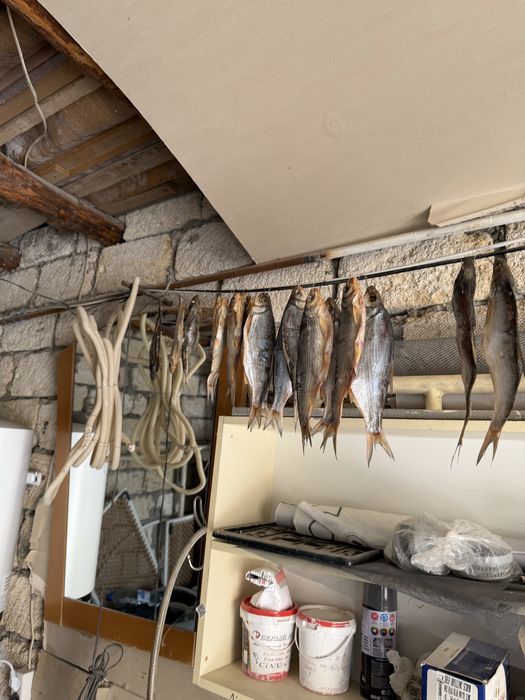 Сушенная рыба ︎ ︎ ︎ ︎ ᅠ ︎ ︎