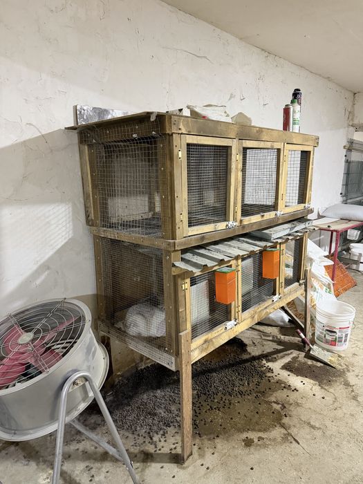 Куен кафас сотилади