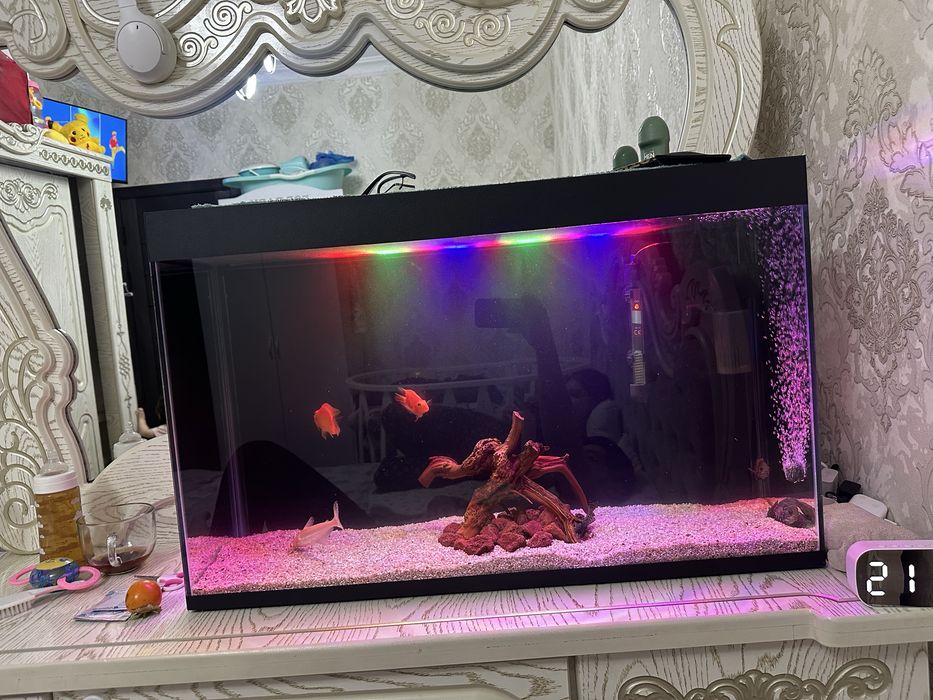 Akvarium/Аквариум 100lt