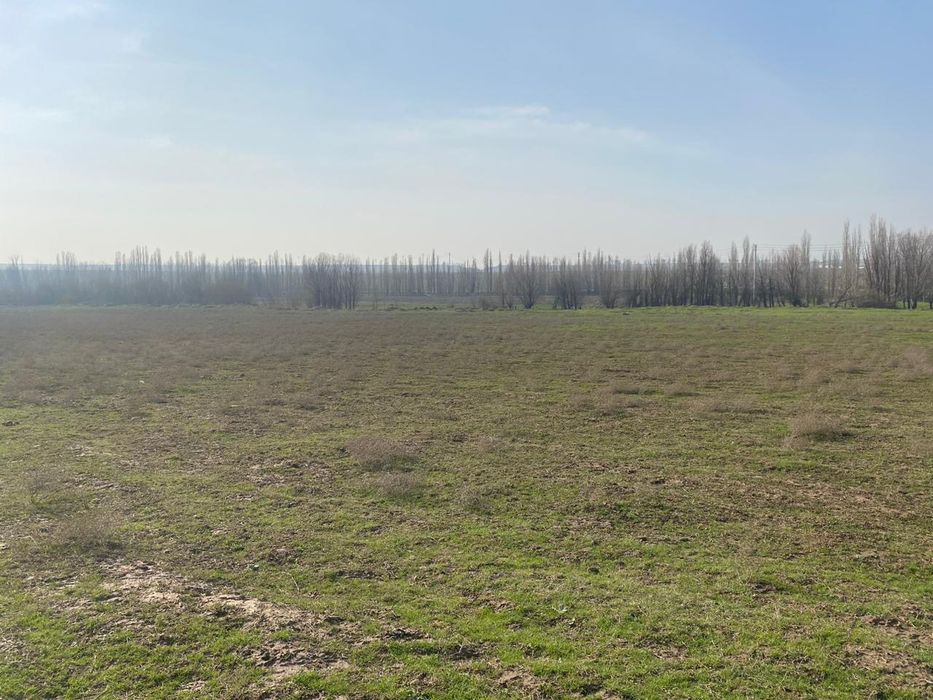 Участок жайылым жер