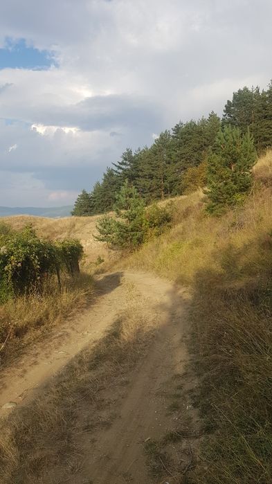 Продава се Парцел в Сапарева баня - 2200 кв.м за 21 €/кв.м - Снимка #4