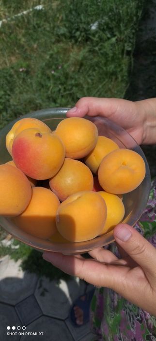 дом 110кв Каскелен ул Бұлақты 29