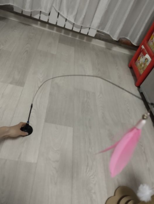 товары для кошек