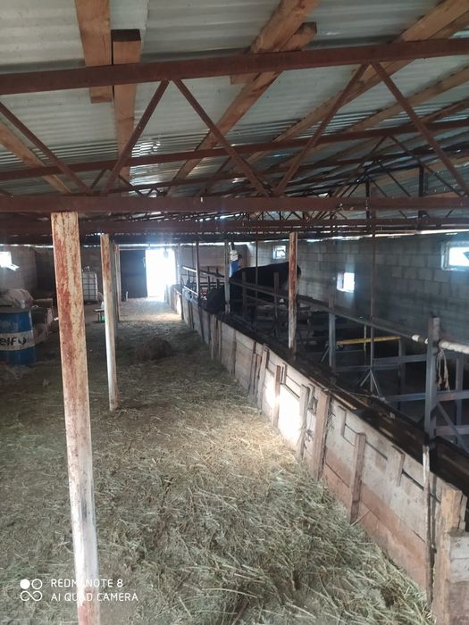 Үй сатылады Фазенда