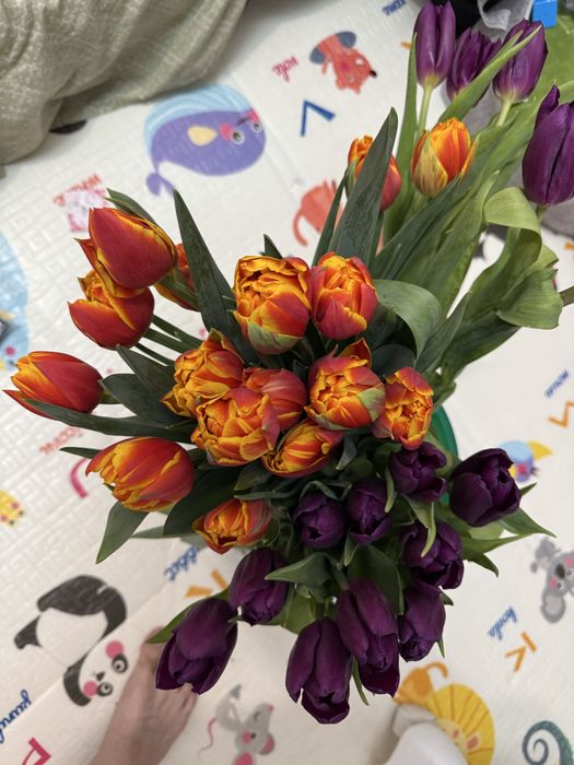 тюлпаны цветы пионовидые