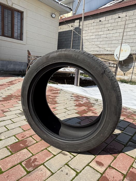 Шины жазғы дөңнелек