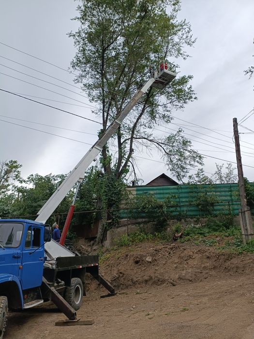 Услуги автовышки телескоп кобра